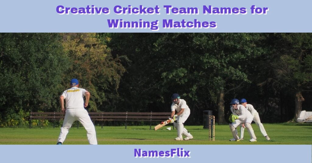 Cricket Team Names