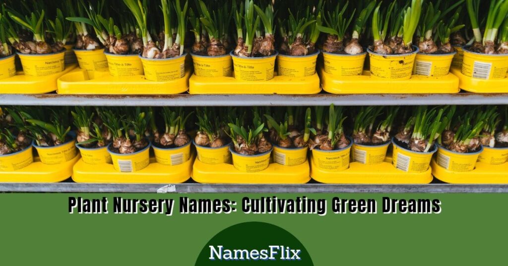 Plant Nursery Names