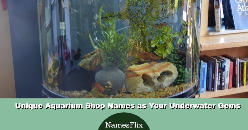 Aquarium Shop Names
