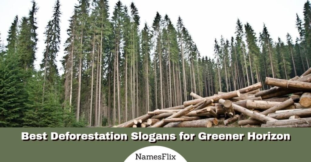 Deforestation Slogans