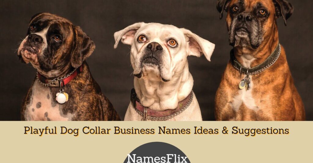 Dog Collar Business Names