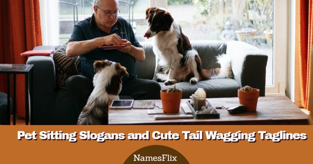 Pet Sitting Slogans