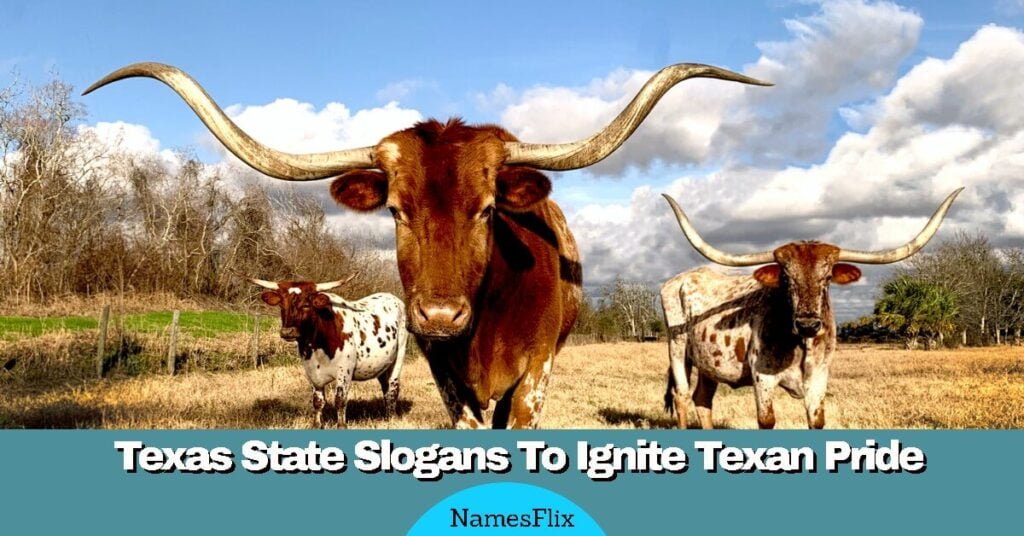 Texas State Slogans
