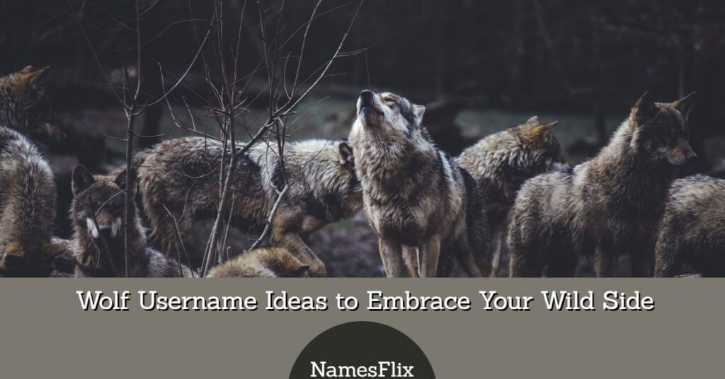 Wolf Usernames