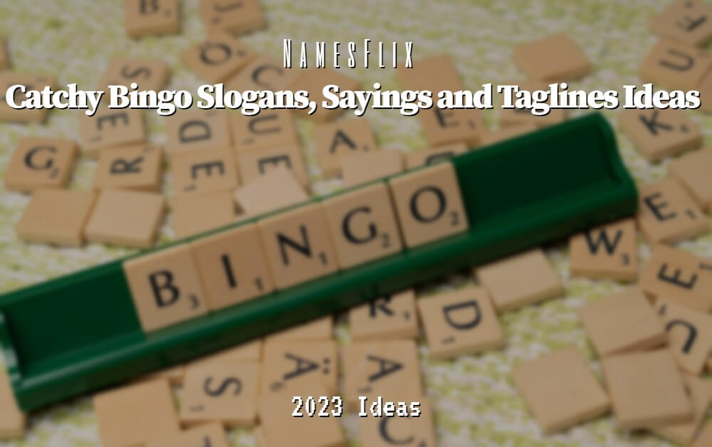 Bingo Slogans