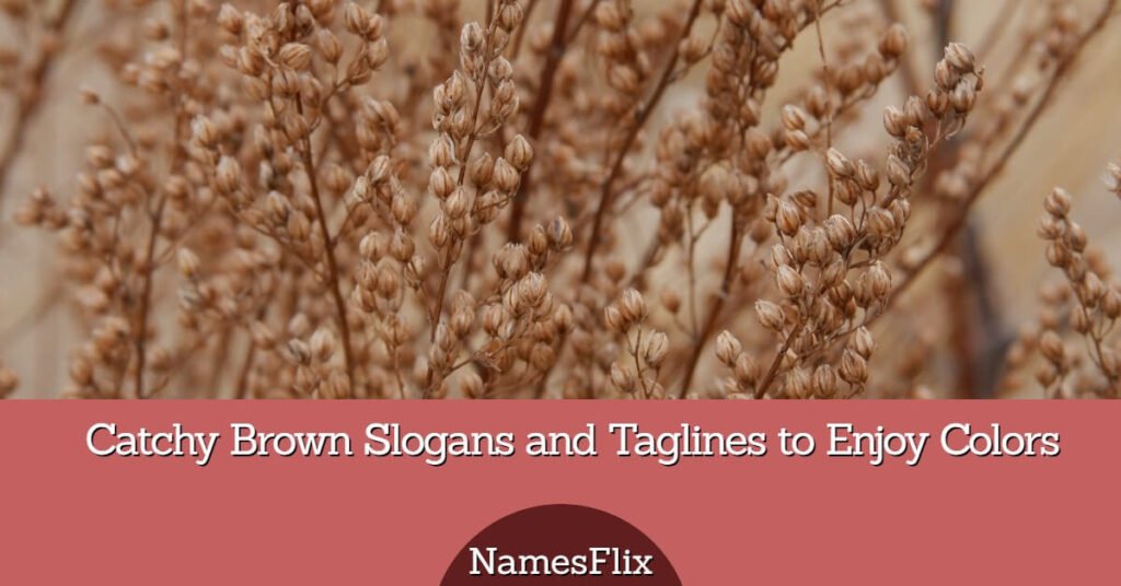 Brown Slogans