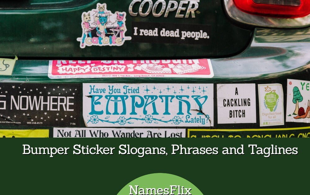 Bumper Sticker Slogans