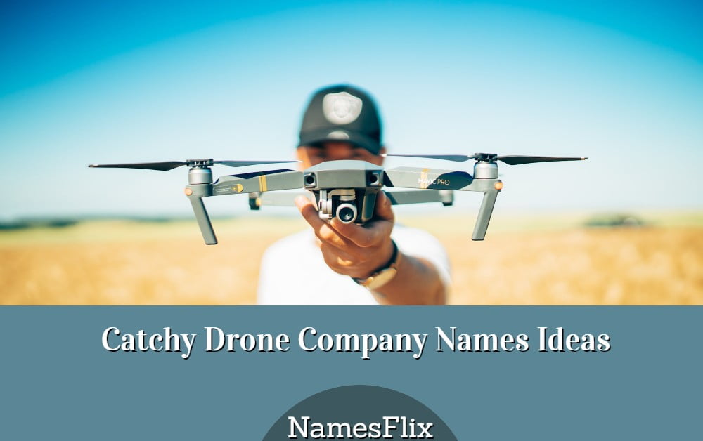 Drone Company Names