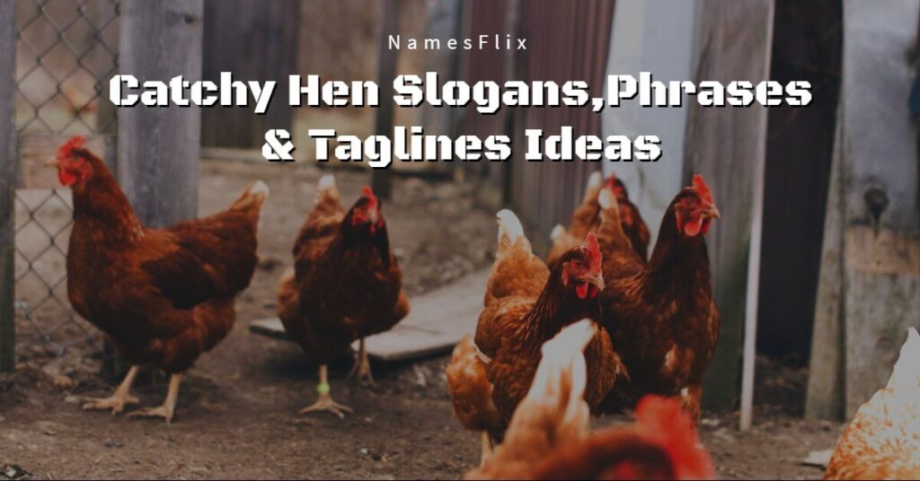 Hen Slogans