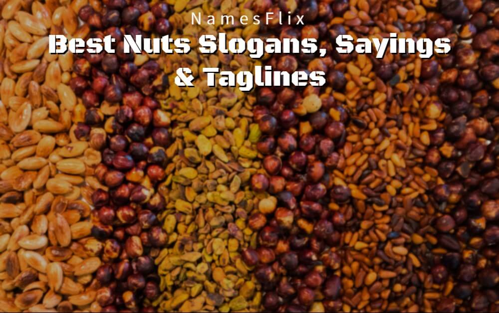 Nuts Slogans