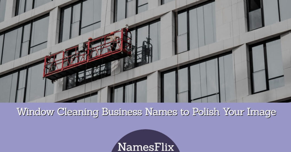 Window Cleaning Business Names