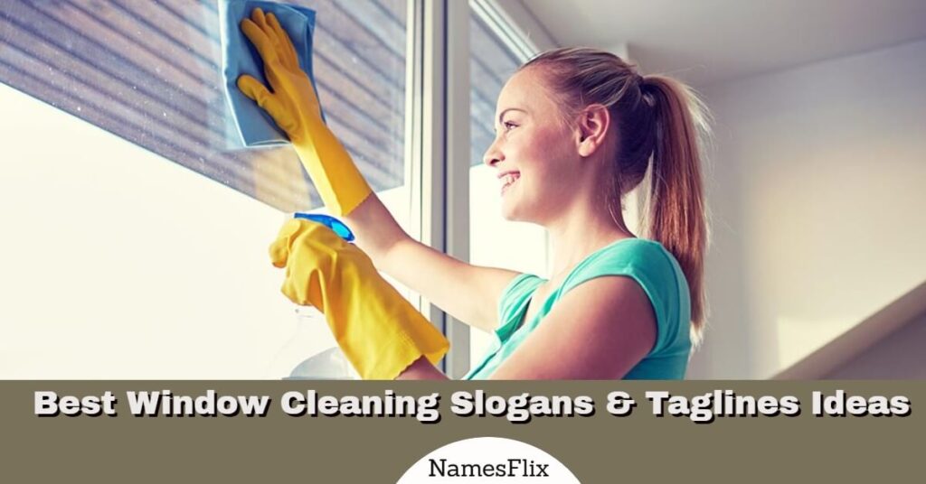 Window Cleaning Slogan