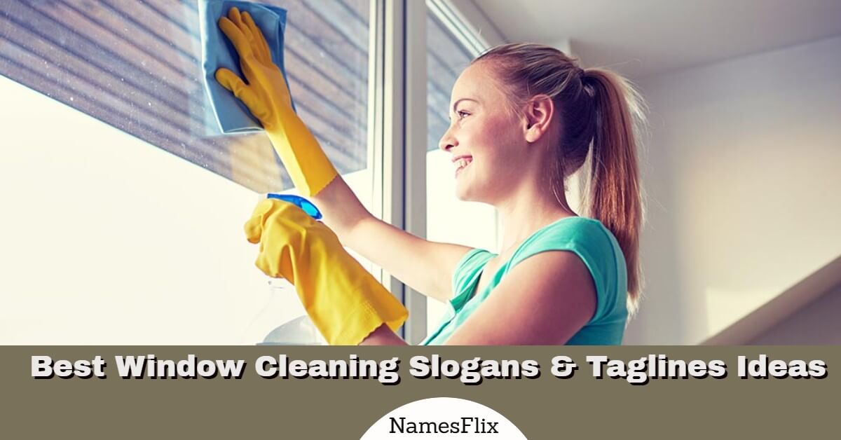 Window Cleaning Slogan