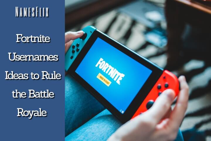 Fortnite Usernames