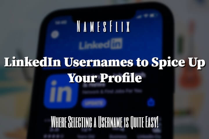 LinkedIn Usernames