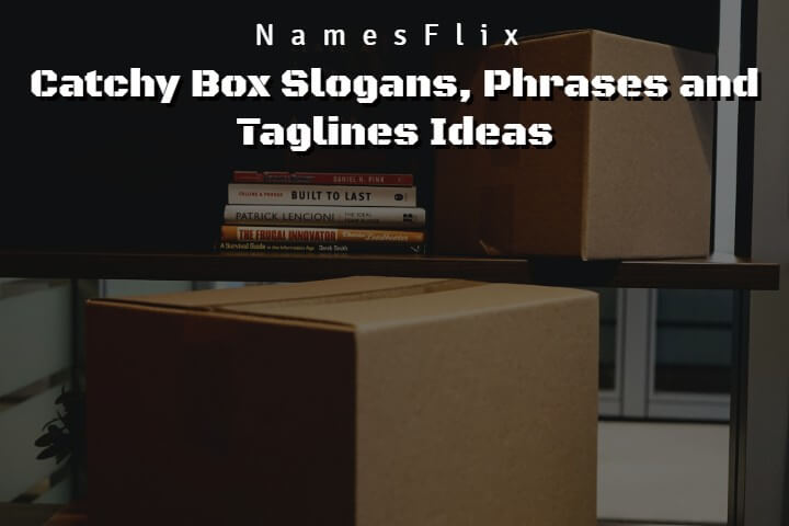 Box Slogans