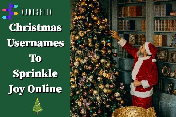 Christmas Usernames