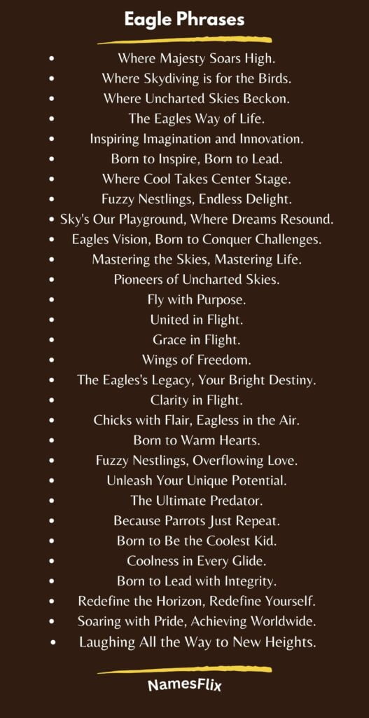 Philadelphia Eagles Phrases