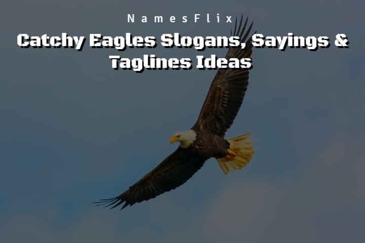 Eagles Slogans