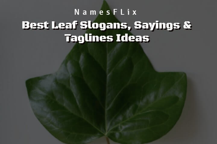 Leaf Slogans