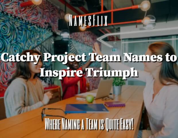Project Team Names