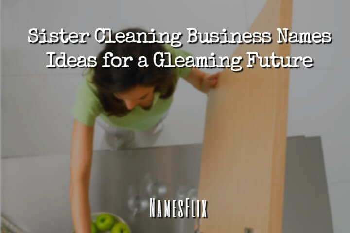 Sister Cleaning Business Names