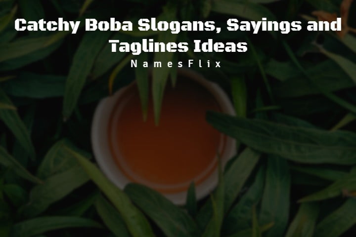 Boba Slogans