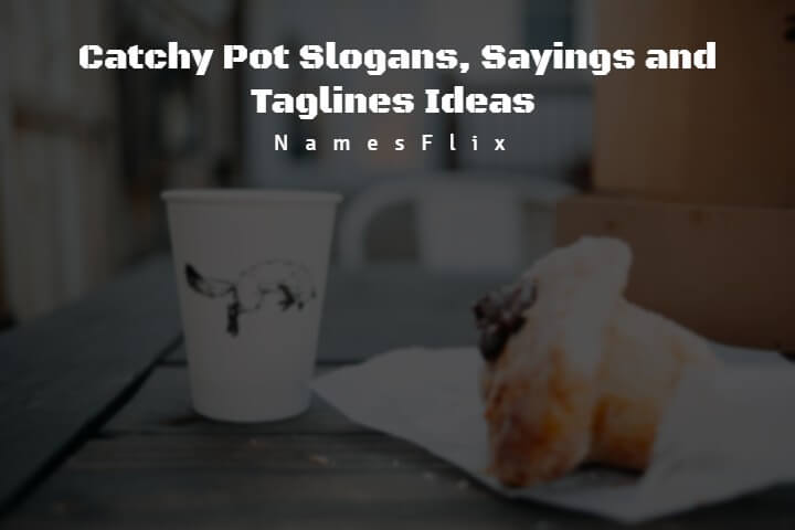 Pot Slogans
