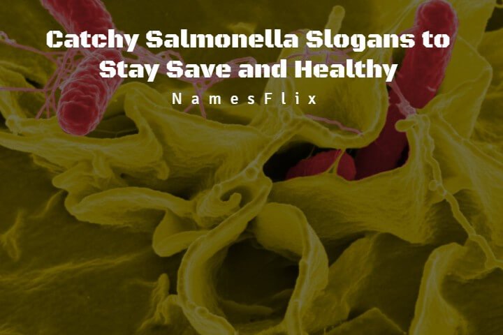 Salmonella Slogans