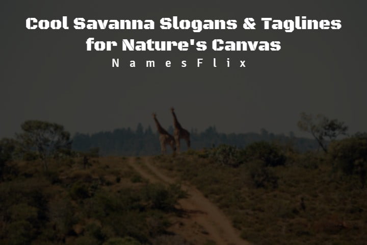 Savanna Slogans
