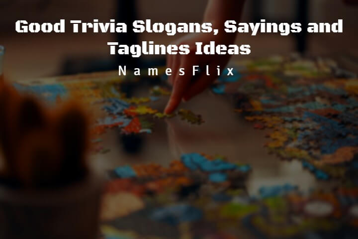 Trivia Slogans