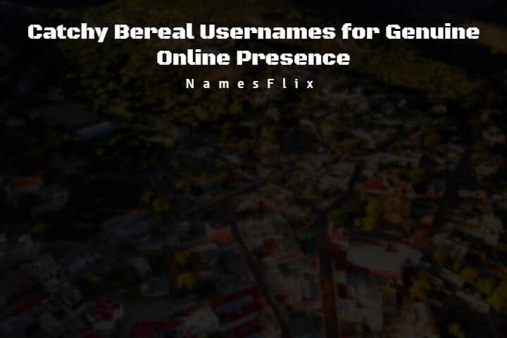 Bereal Usernames