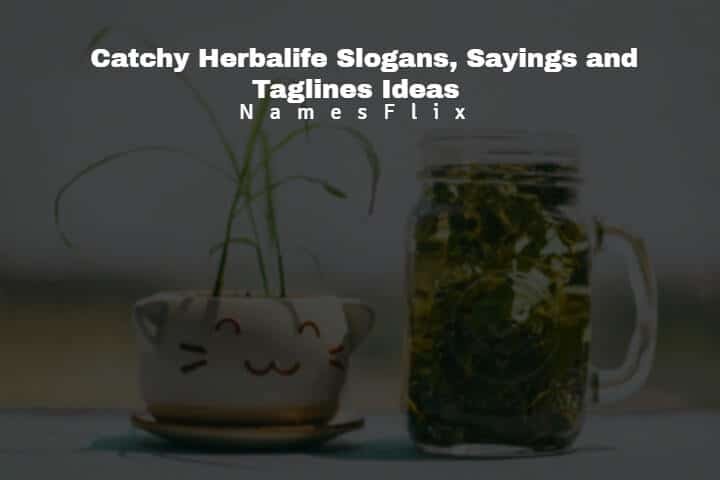 Herbalife Slogans