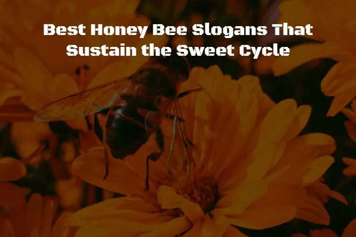 Honey Bee Slogans