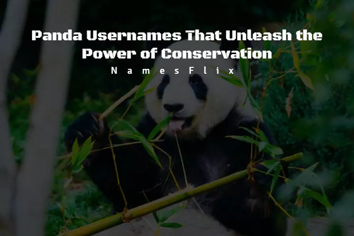 Panda Usernames