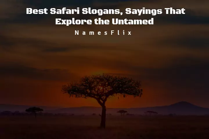 Safari Slogans