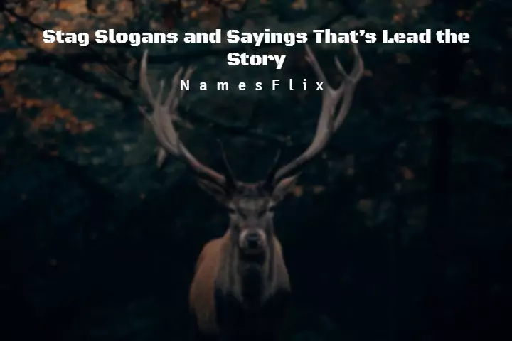 Stag Slogans