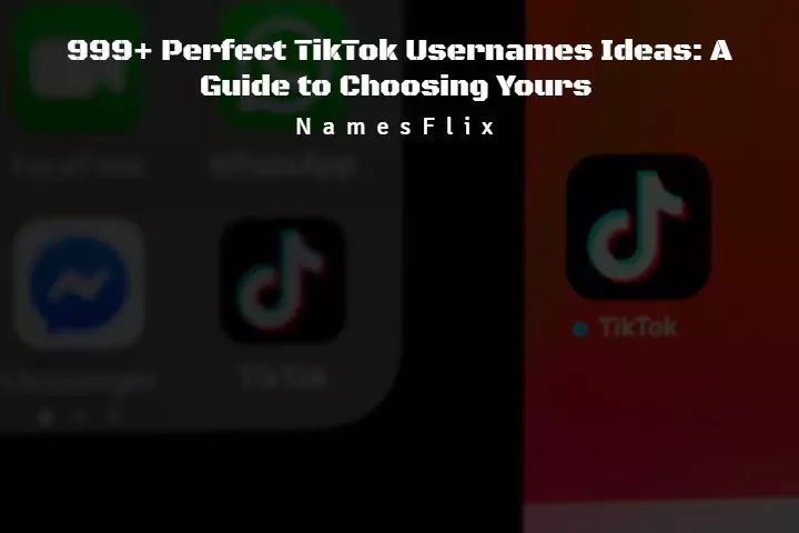 TicTok Usernames