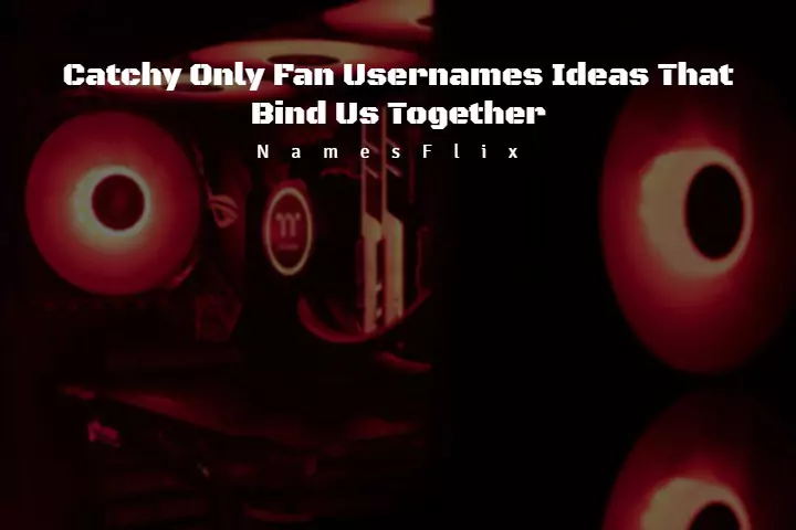 Only Fan Usernames