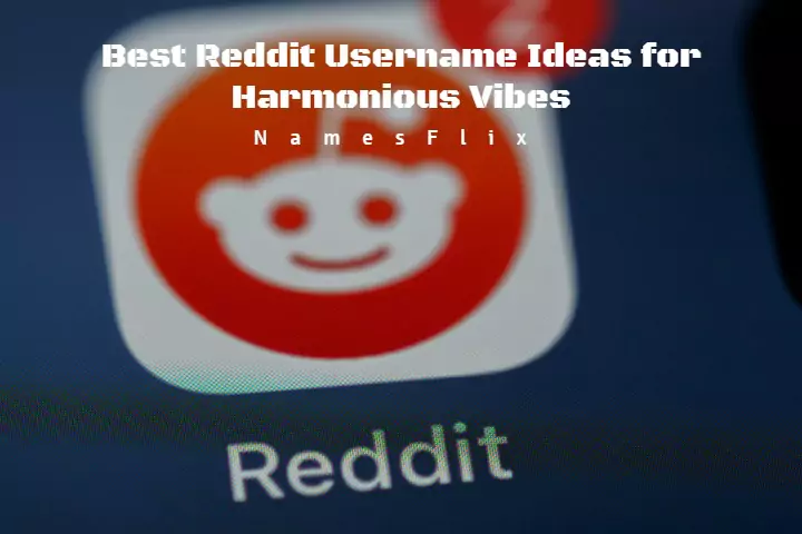 Reddit Usernames