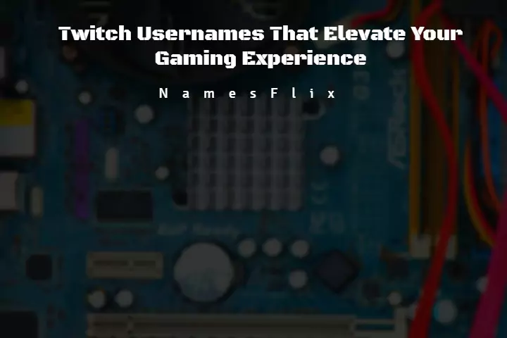 Twitch Username